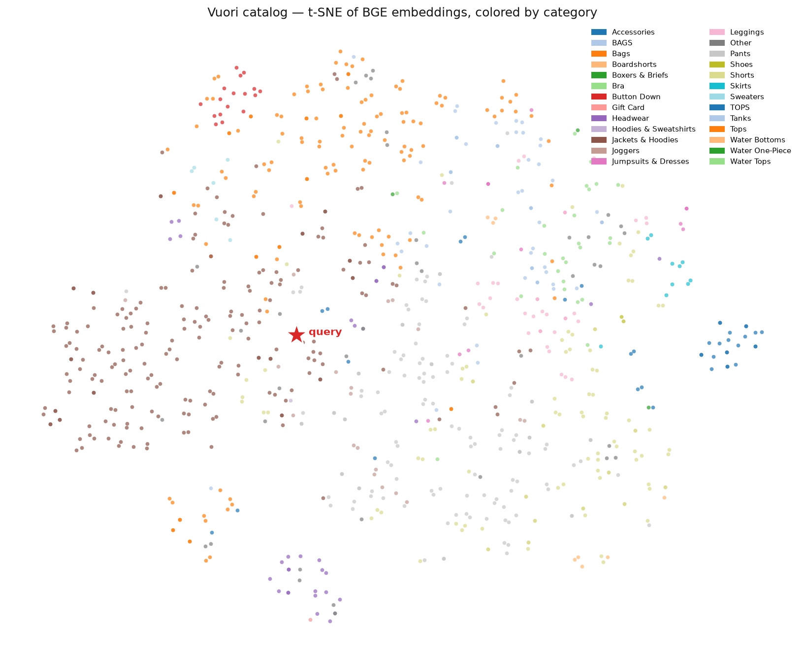 t-SNE plot of the full Vuori catalog, dots colored by category, with the query marked as a red star